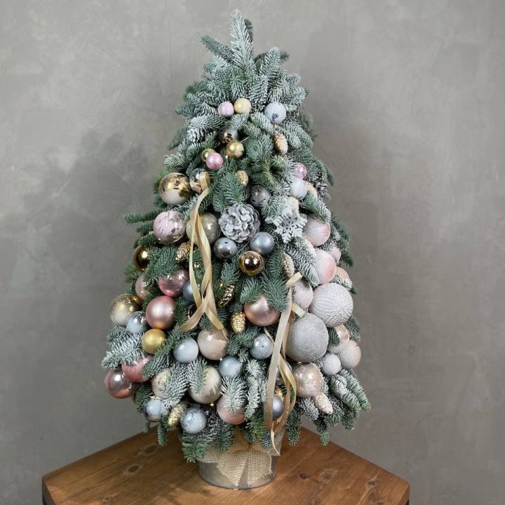 Новогодняя ёлка из веток датского нобилиса в Костроме