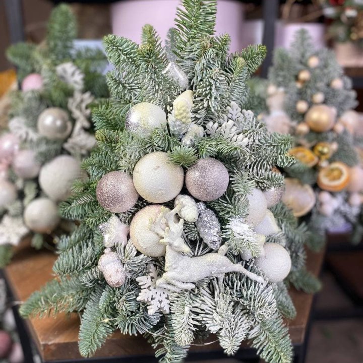 Ёлочка "Хепи крисмас" в Костроме