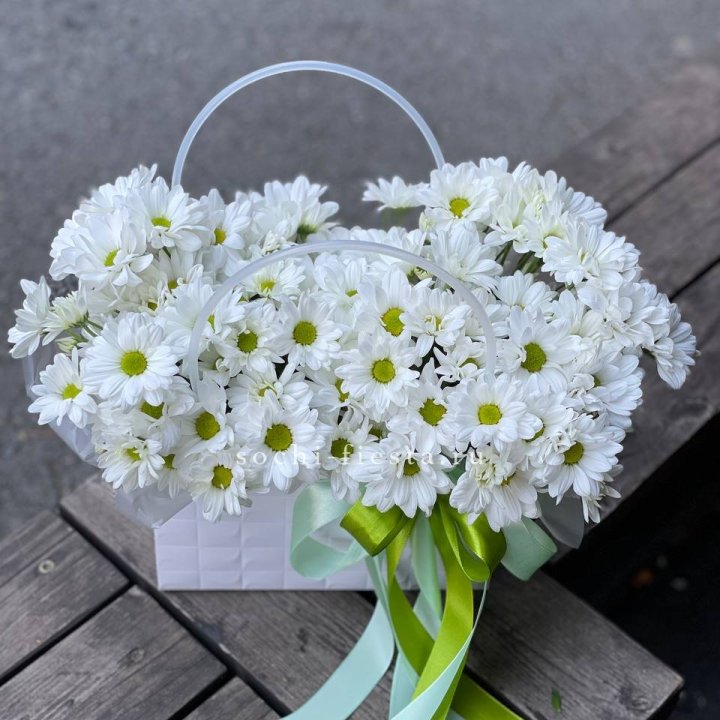 Сумка с хризантемами ромашками в Костроме