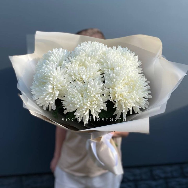 Профитроли в Костроме