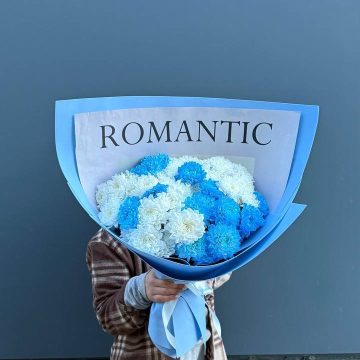 Дуо хризантем в Костроме