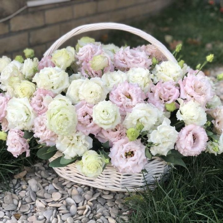 Корзина с эустомой в Костроме