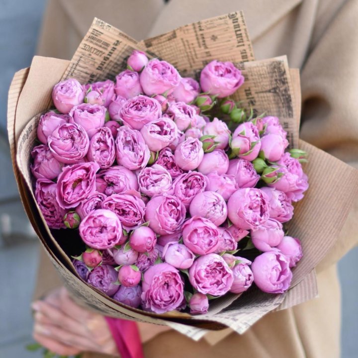 Роза Мисти Баблс в Костроме