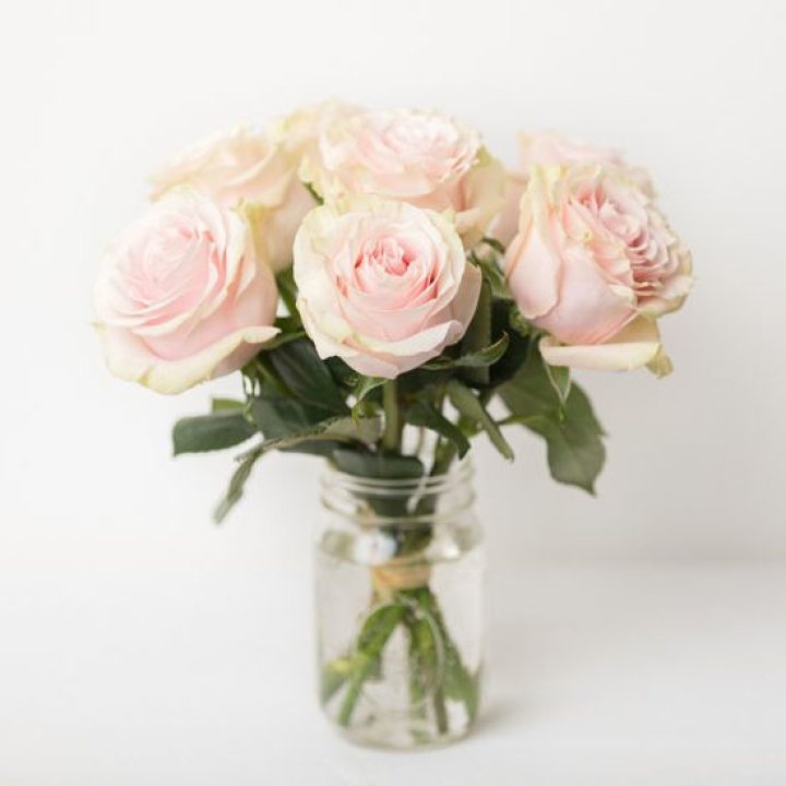 7 кремовых роз в Костроме