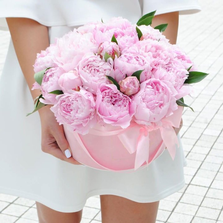 Пионы в шляпной коробке в Костроме