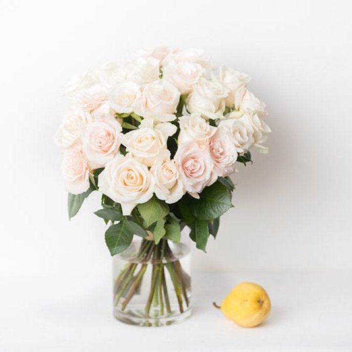 25 кремовых роз в Костроме