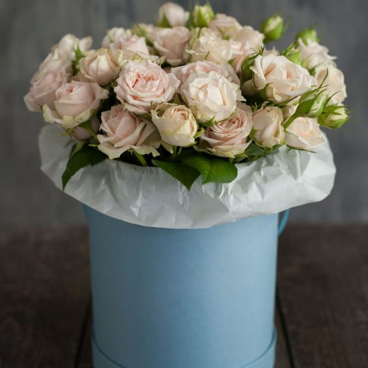 Бокс с бомбастиком в Костроме