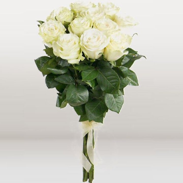 11 белых голландских роз в Костроме
