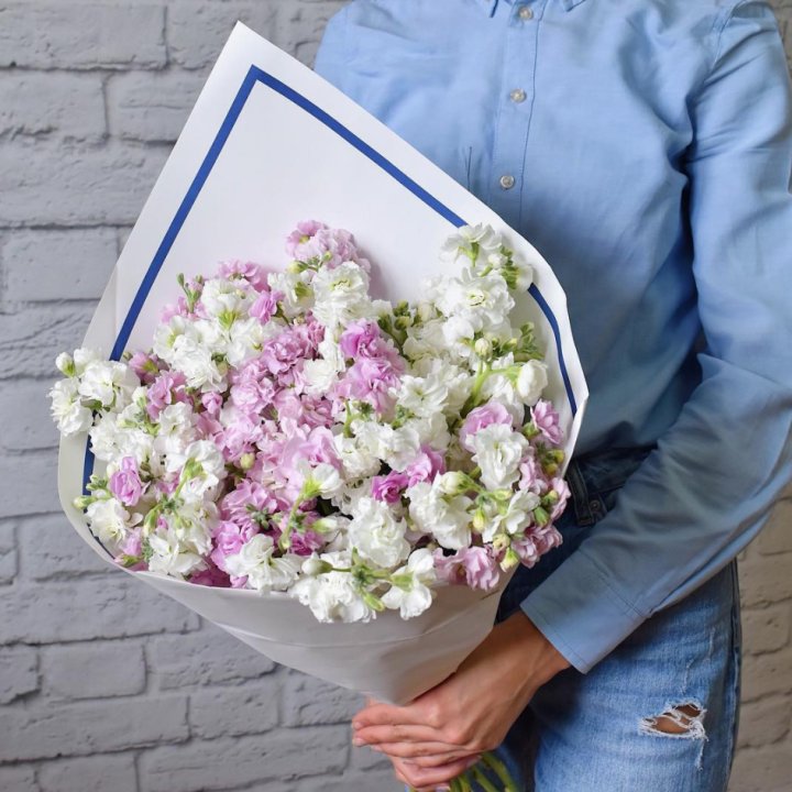 Маттиола в Костроме