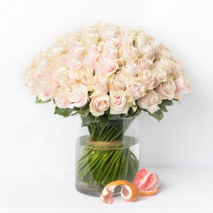 101 кремовая роза в Костроме