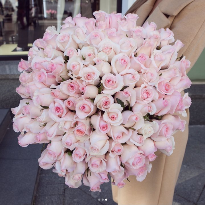 Розы "Пинк бум" в Костроме