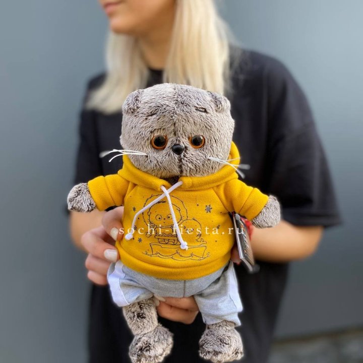 Кот Басик в худи в Костроме
