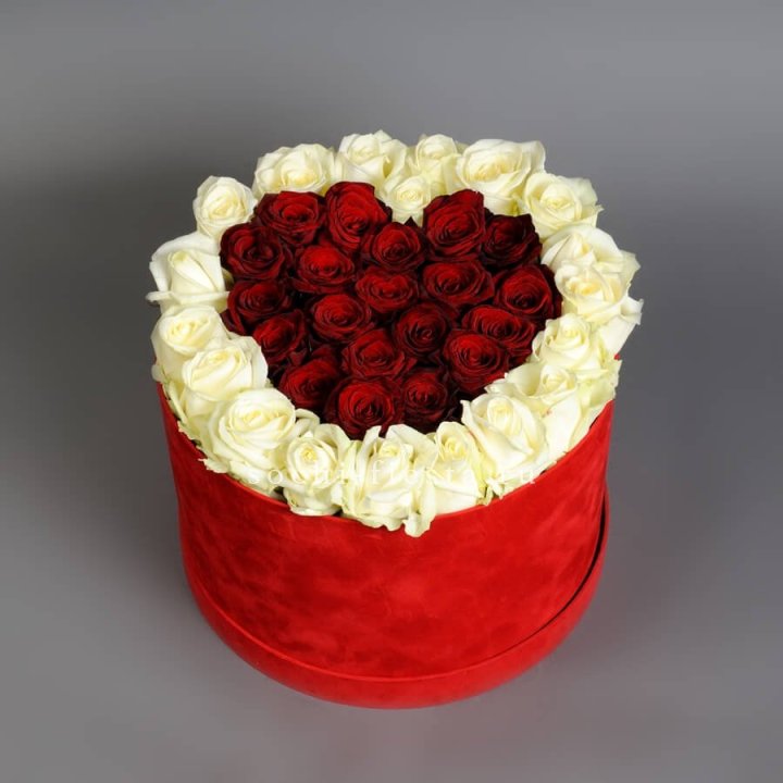 39 красных и белых роз в цилиндре в Костроме