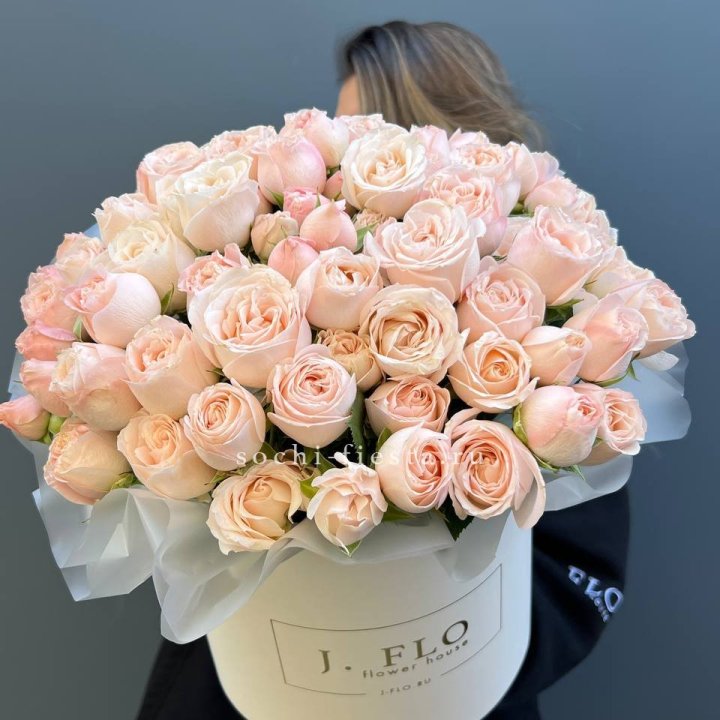 Бомбастик бокс Премьер в Костроме