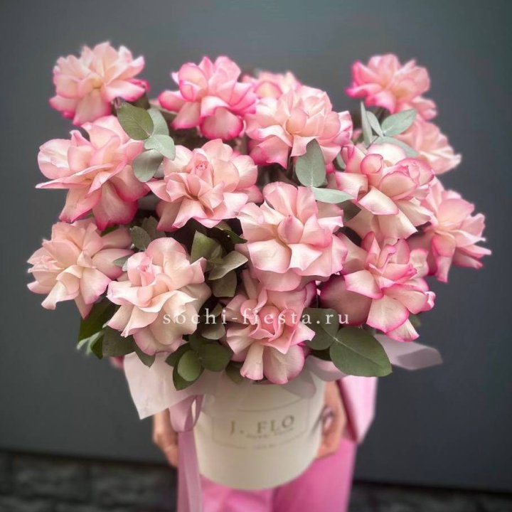 17 Французских  роз Венди в боксе в Костроме