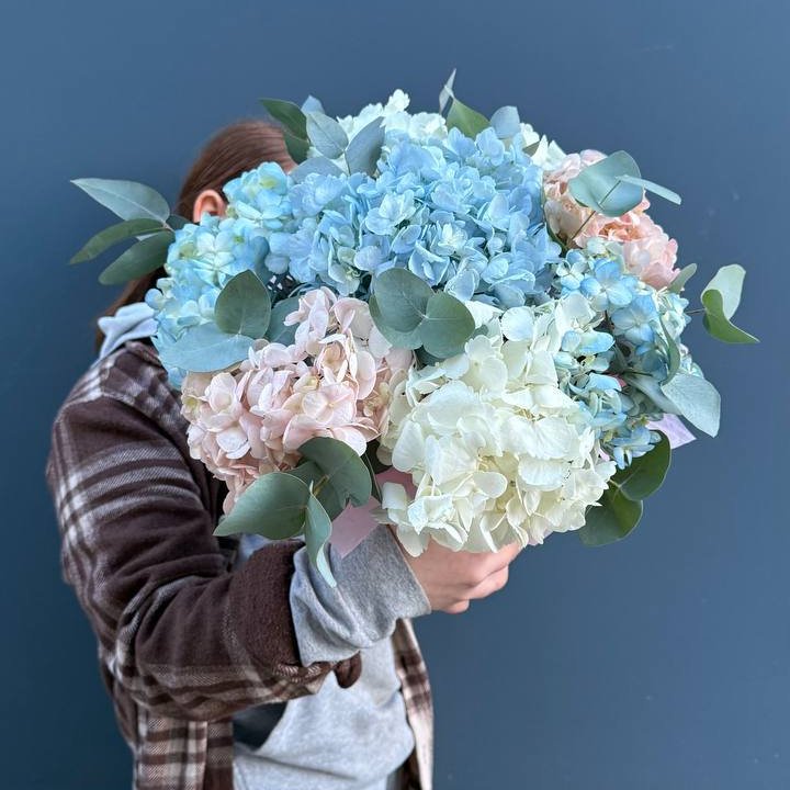 Гортензии в коробочке в Костроме