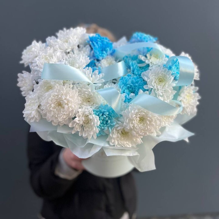 Хризнтемы в боксе в Костроме