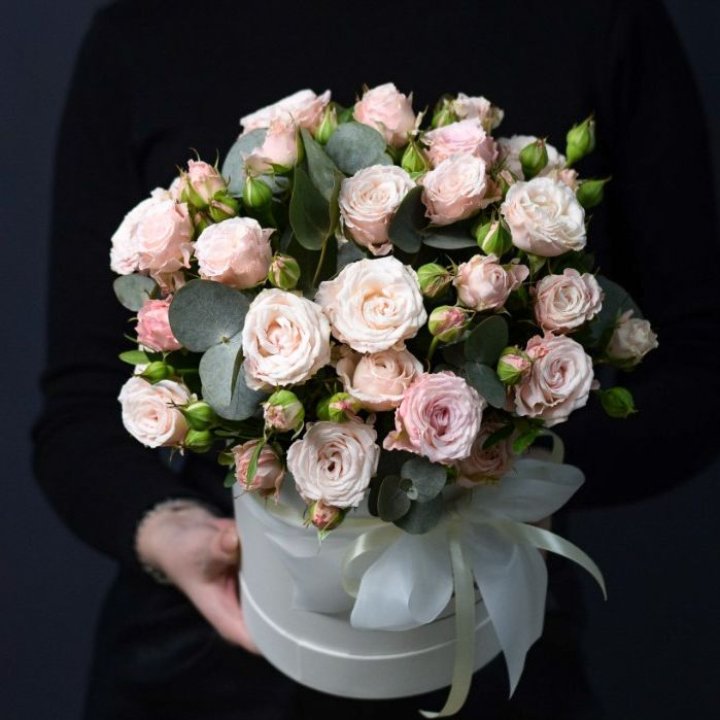 Бомбастик бокс №2 в Костроме