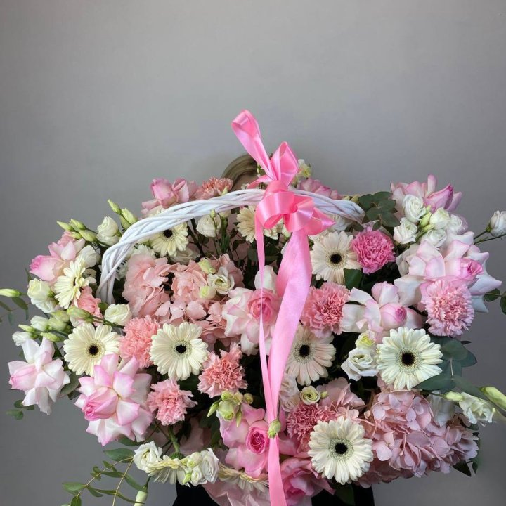 Корзина "Ионита" в Костроме