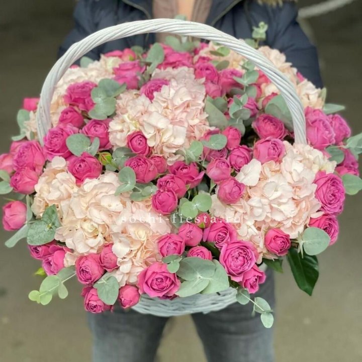 Корзина с гортензией и Мисти Баблс в Костроме