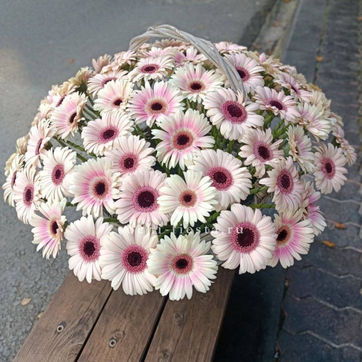Корзина с герберами  в Костроме