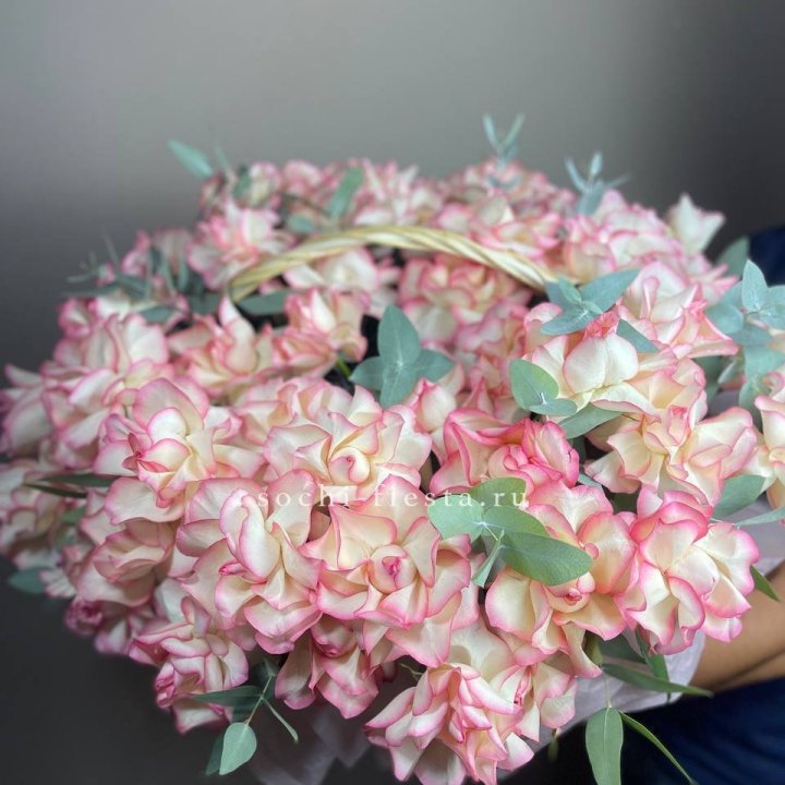 51 джумилия  в корзине   в Костроме