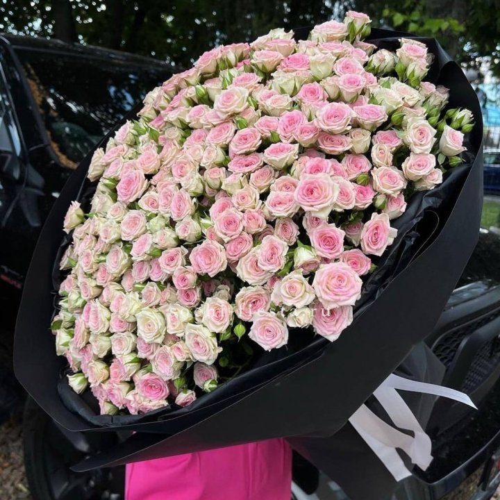 101 кустовая роза "Твистер" в Костроме