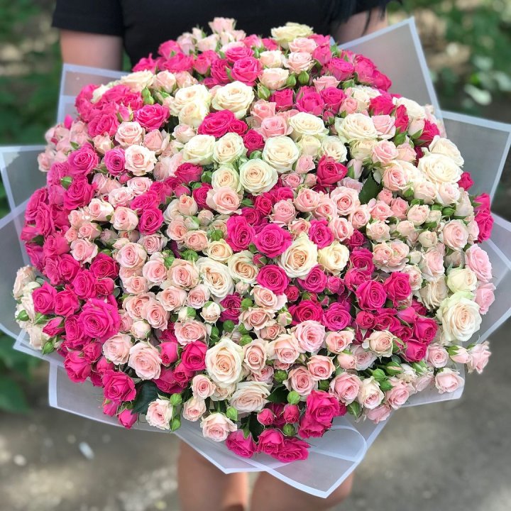 101 кустовая роза в Костроме