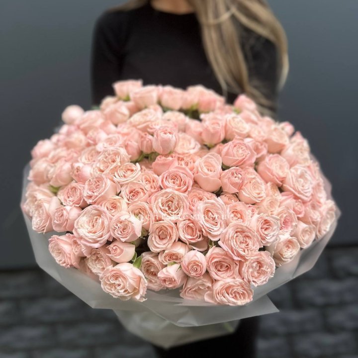 51 кустовая роза Бомбастик в Костроме