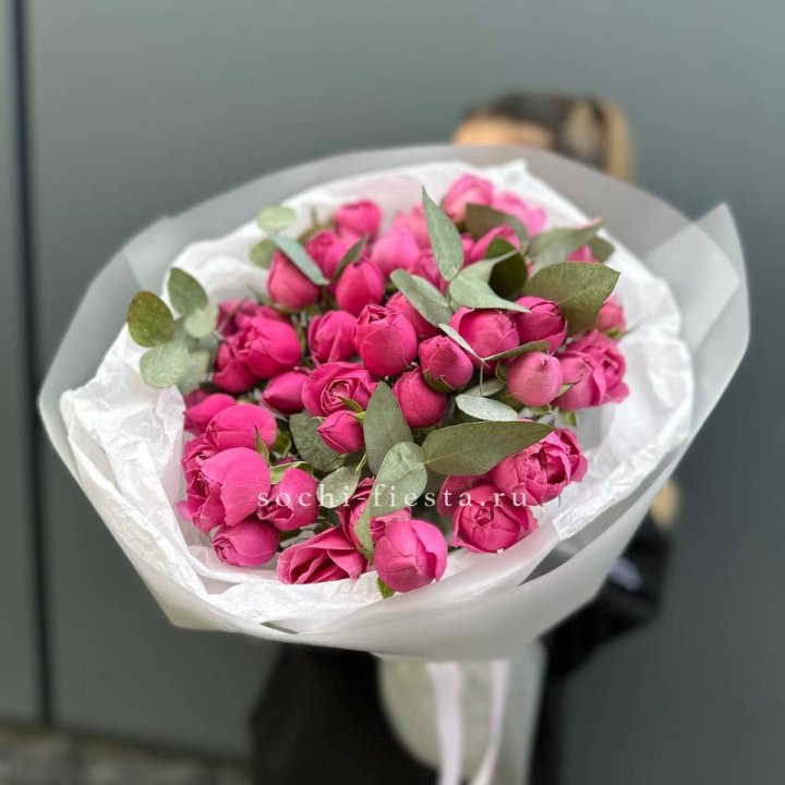 17 Мисти бабблс в Костроме