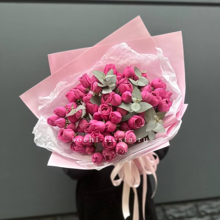 25 Мисти бабблс в Костроме