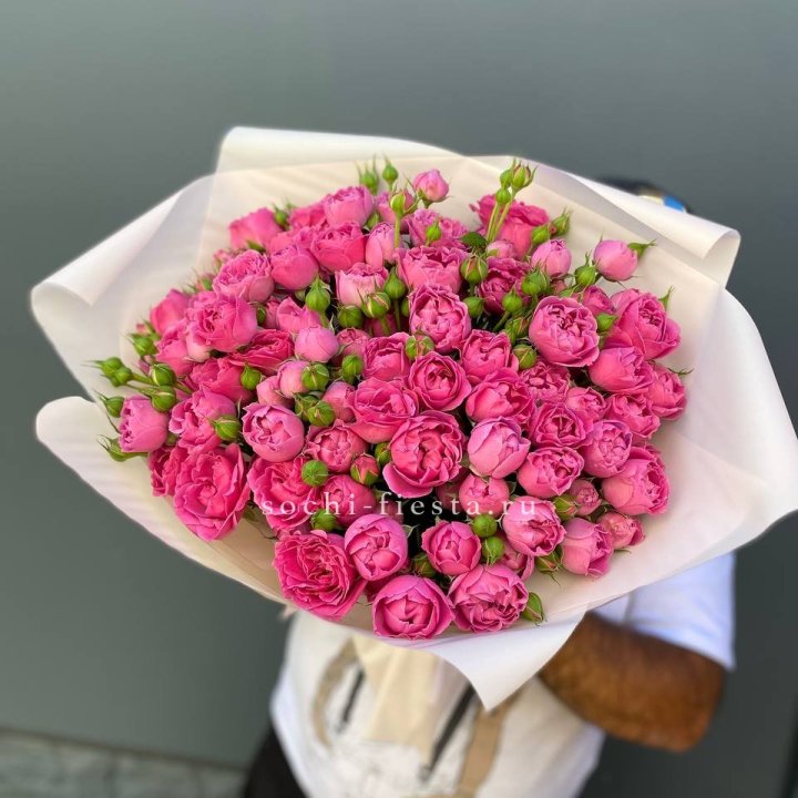 Мисти Баблс 35шт в Костроме