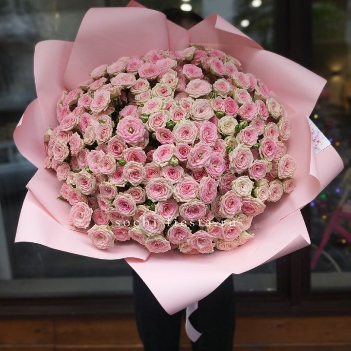 51 кустовая роза Твистер в Костроме