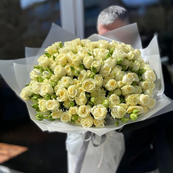Белые кустовые розы 31 шт в Костроме