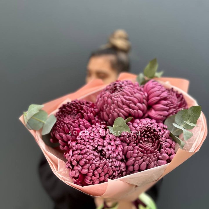 Хризантемы  Бигуди  в Костроме