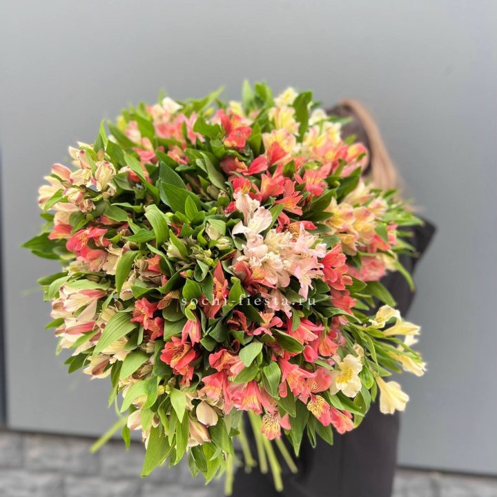 51 альстромерия в Костроме