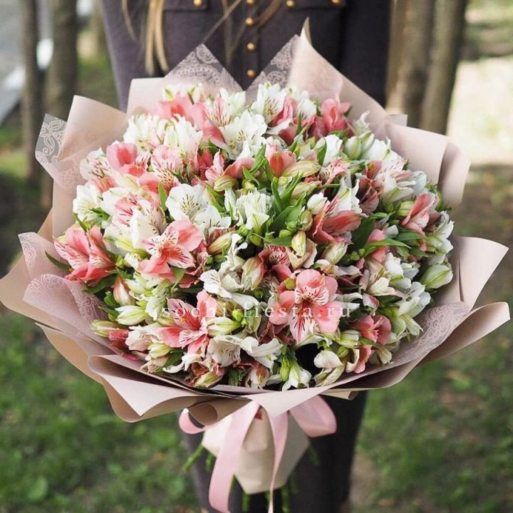 Букет альстромерий "ВАУ" в Костроме