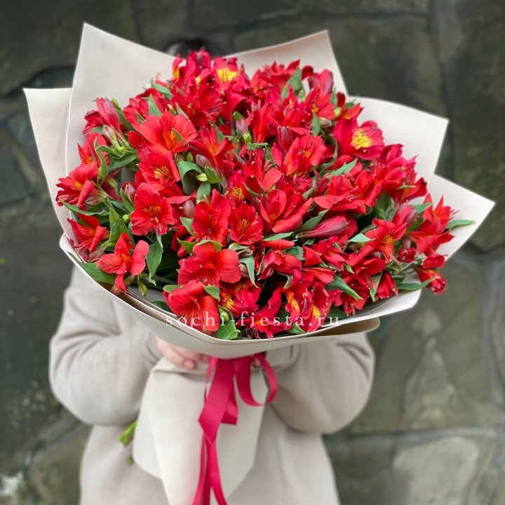 51 альстромерия в Костроме