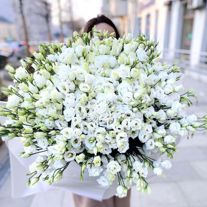 101 белая эустома в Костроме