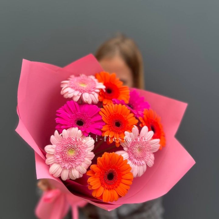 Краски в Костроме