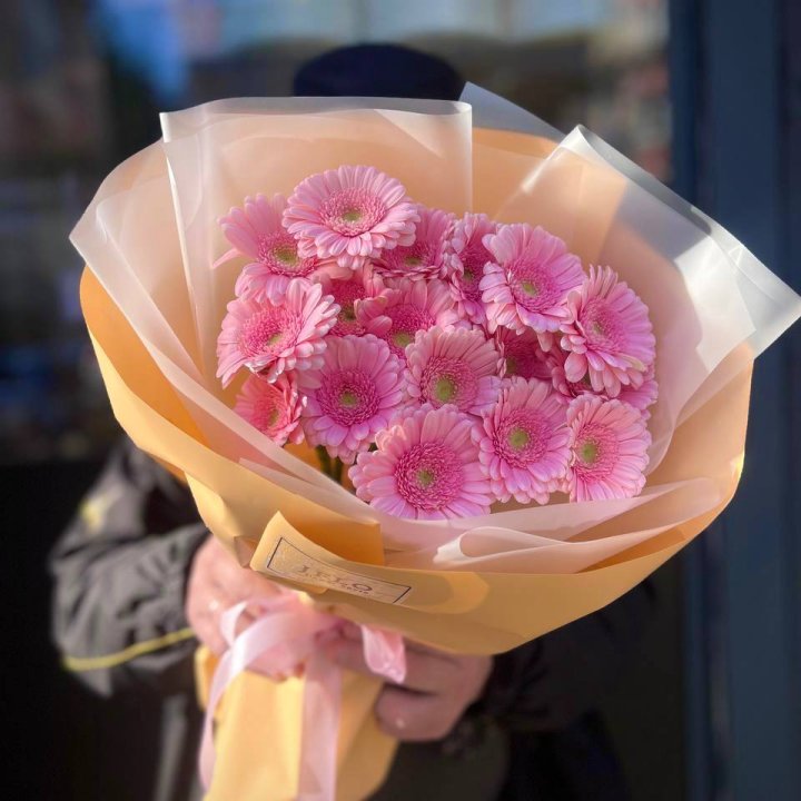 17 розовых гербер  в Костроме