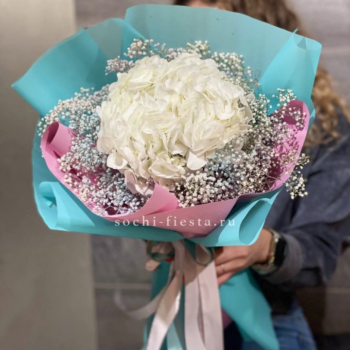 Гортензия "Райдов" в Костроме