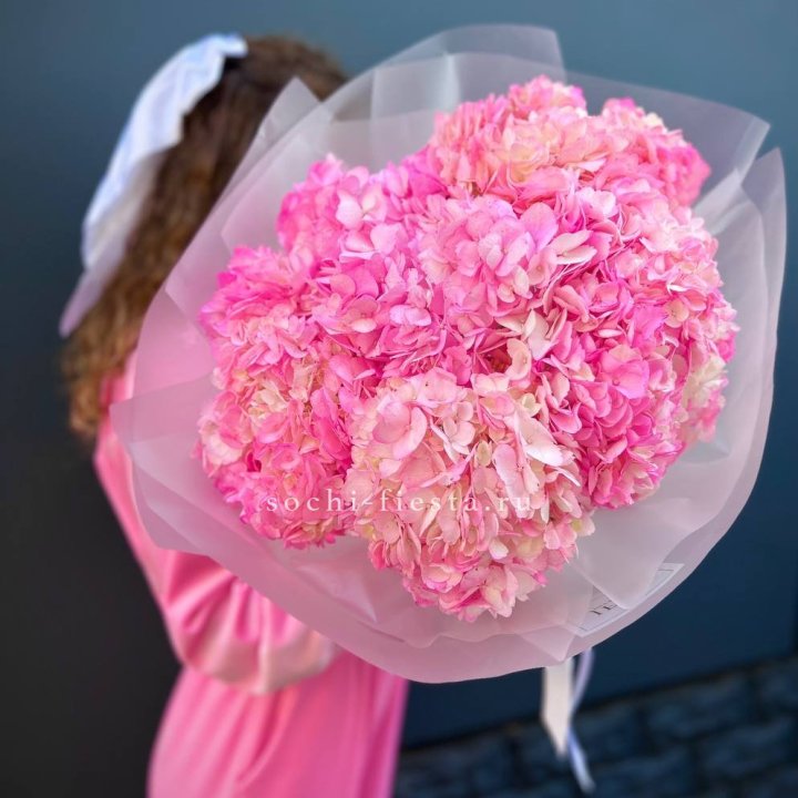 7 ярко розовых гортензий в Костроме