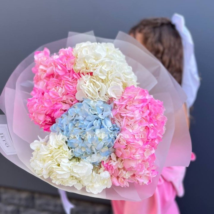 7 гортензий микс в Костроме