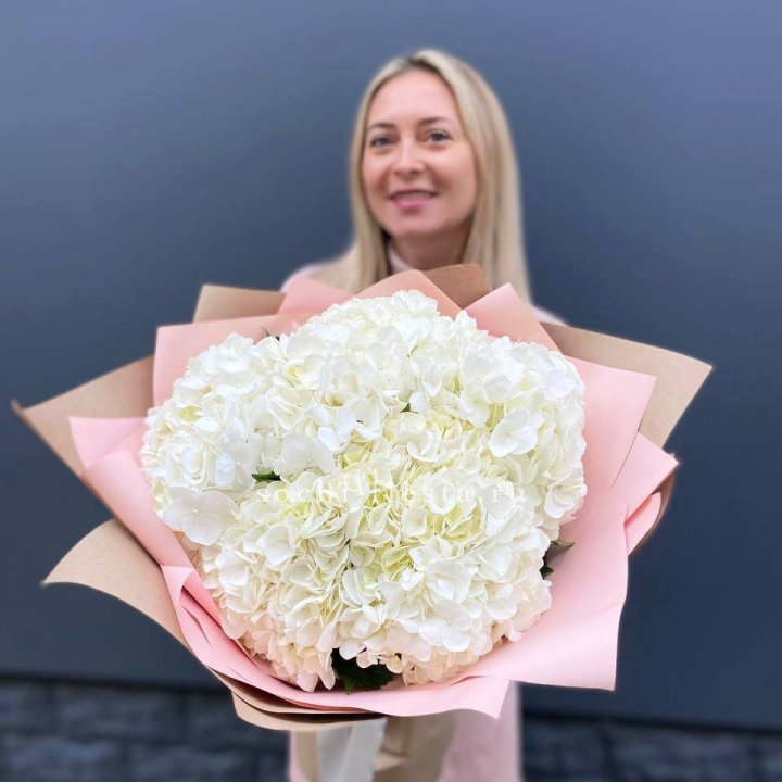 Гортензия белая в Костроме