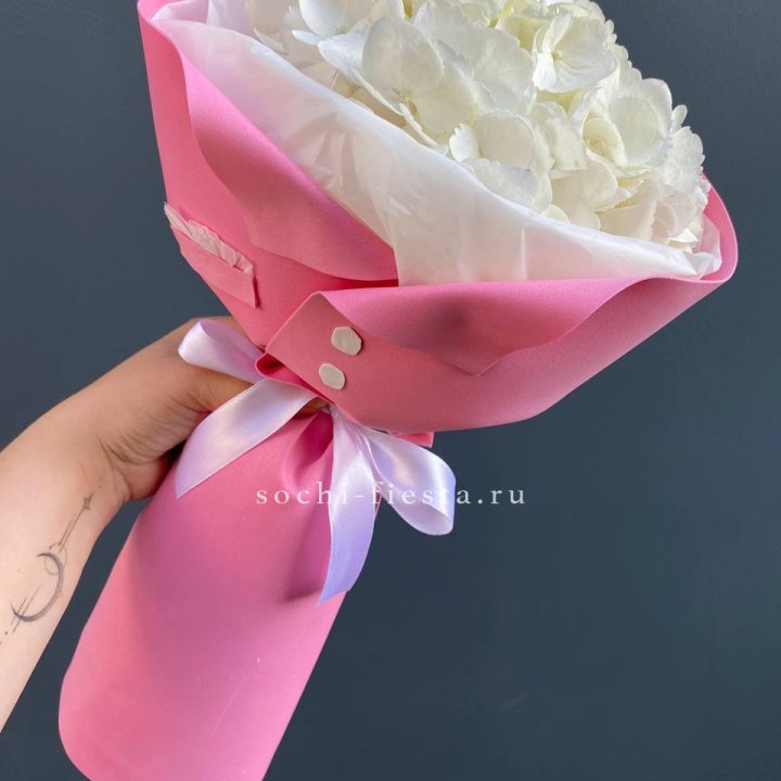 Гортензия в розовом пиджаке в Костроме