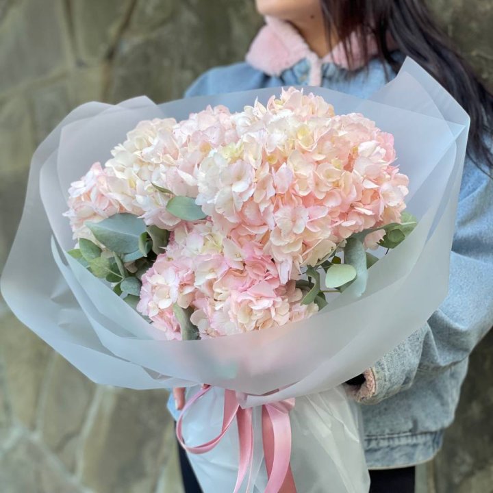 5 розовых гортензий в Костроме