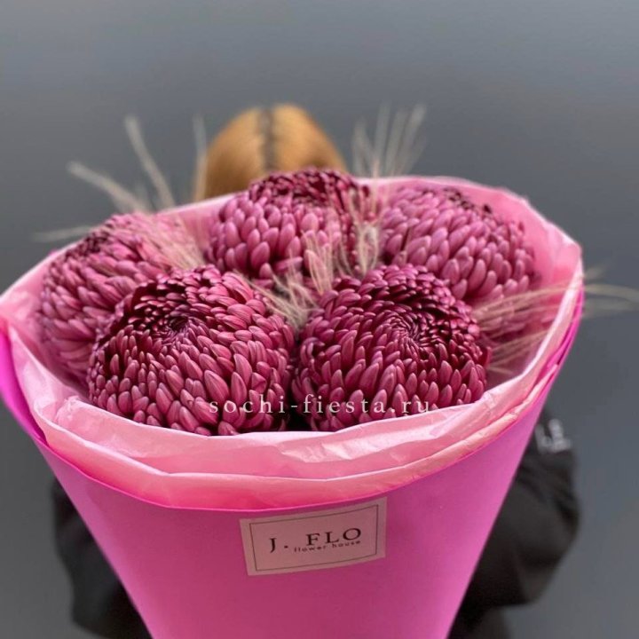 Хризантемы  Бигуди с стифой в Костроме