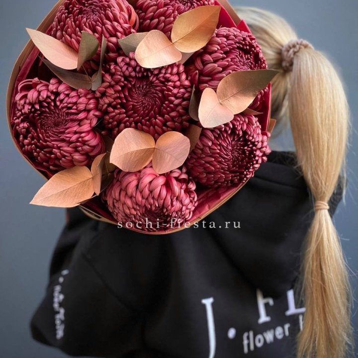 Хризантемы "Голд шоколад" в Костроме