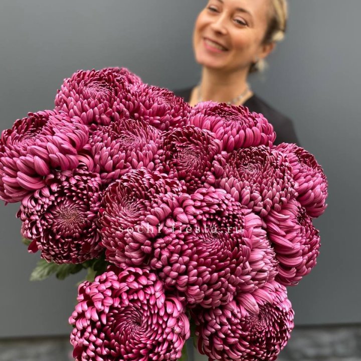 Охапка хризантем Бигуди в Костроме